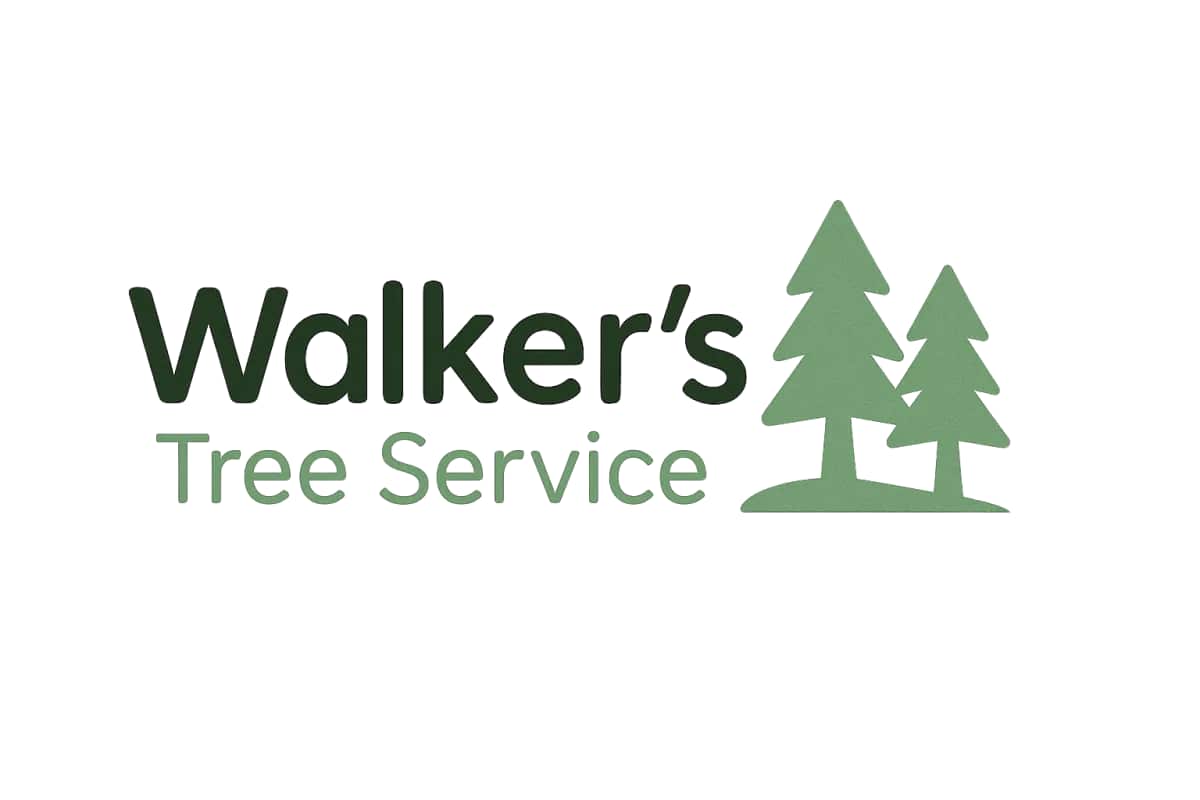 Completed tree service projects by Walker's Tree Service