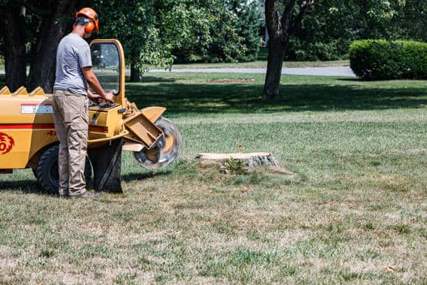 Land clearing service